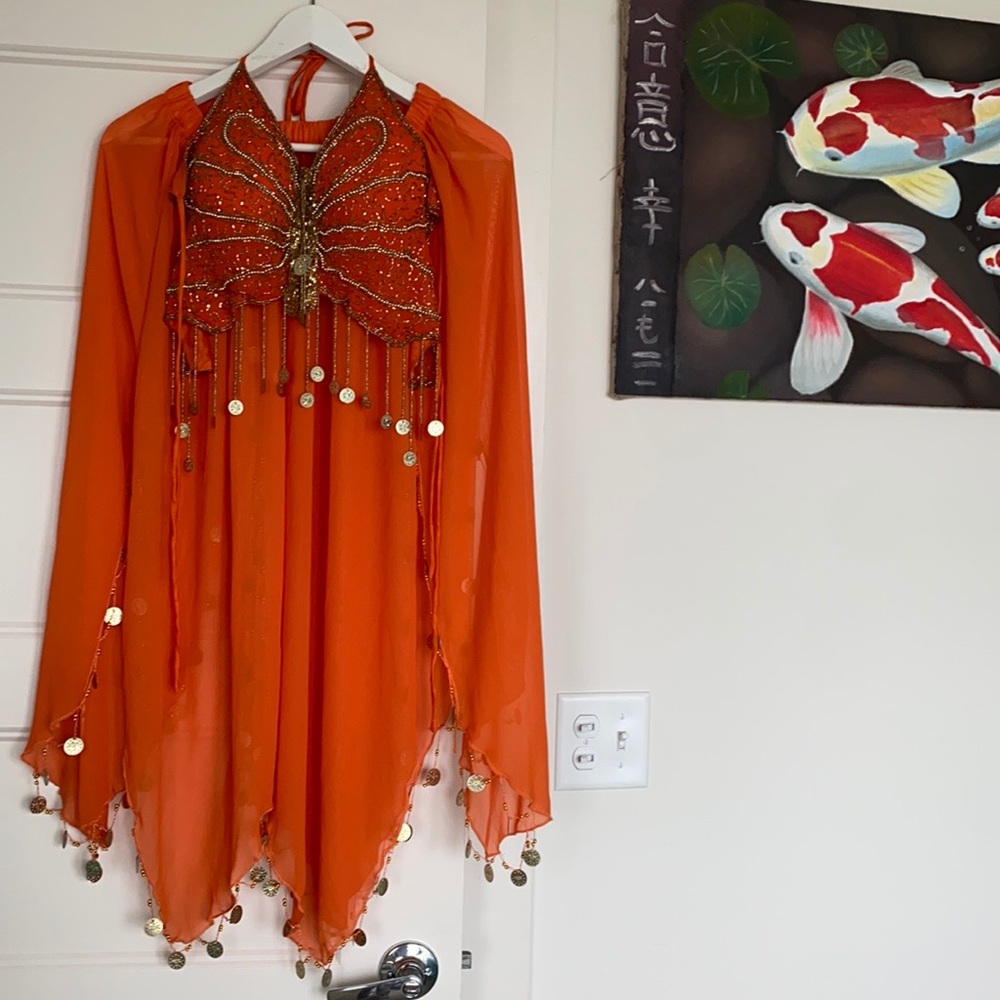 Belly Dance costume